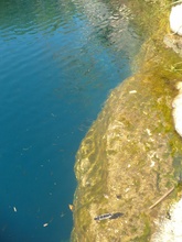 crystal clear water in Cenote Sabak-Ha