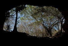 Cenote Chihuo-hol