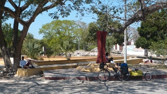 Mucuyche