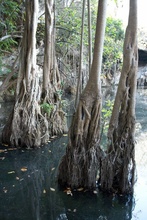 Cenote Xtojil