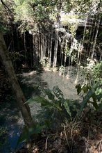 some cenote next to the road