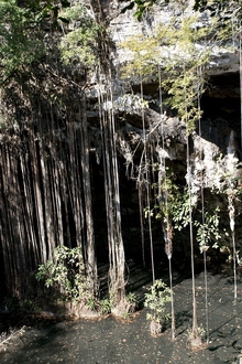 another cenote