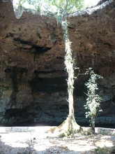 Cenote Seytun 1