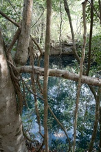 Cenote Azul