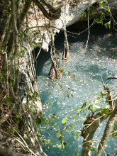 one of many cenotes