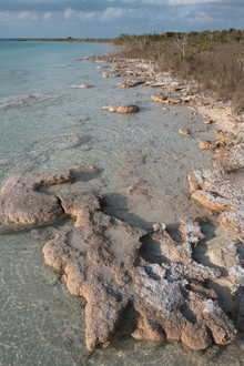 Laguna Bacalar