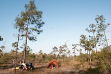 our camping spot in bush