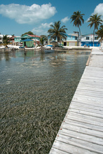 Caye Caulker