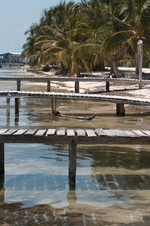 Caye Caulker