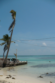 Caye Caulker