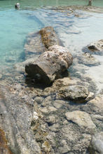 Caye Caulker