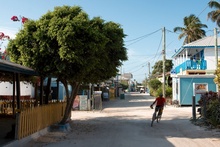 Caye Caulker