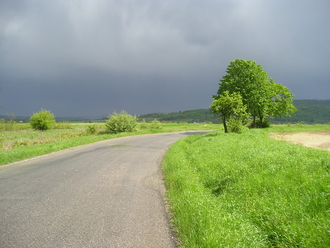 P1010015.JPG