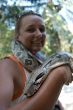 boa in Belize Zoo