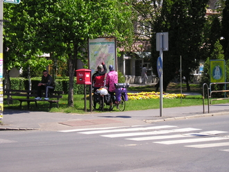 P1010023.JPG