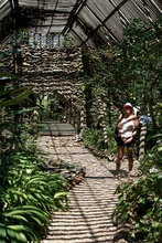 orchid house in Belize botanic garden