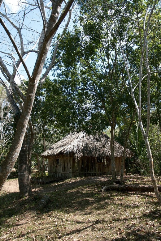 Belize botanic garden