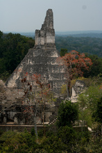 Temple I at Tikal