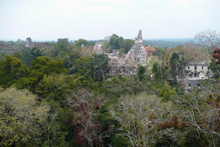 Tikal hidden in Peten jungle