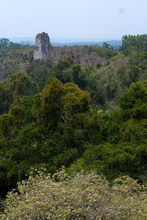 Temple IV in the Tikal jungle