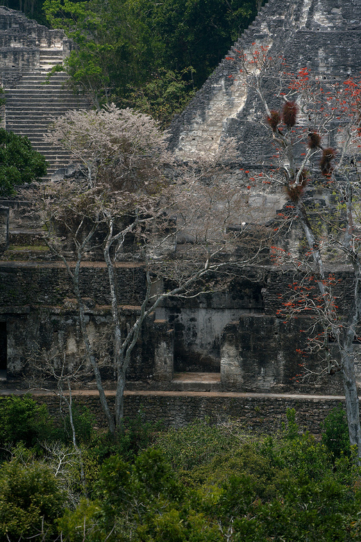 Tikal ruins