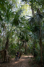 Dasa in Peten jungle