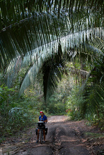 The road to Dos Lagunas