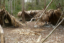 Abandoned chicleros camping