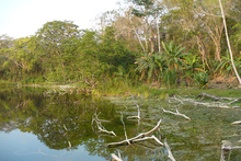 The lagoon at Dos Lagunas