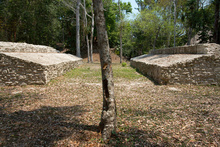 Maya ball playground