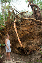 Katka and another broken tree