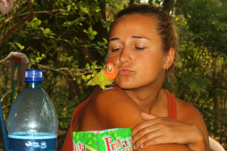 Dasa with Janecek's parrot