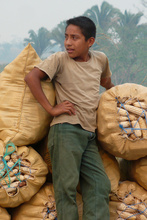 Boy helping by loading corn