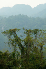 The view on Alta Verapaz