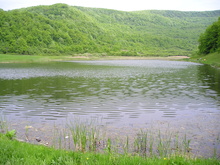 P1010054.JPG