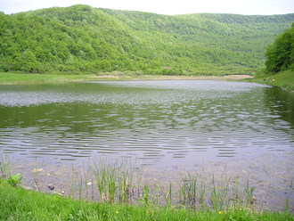 P1010054.JPG