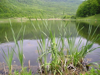 P1010057.JPG