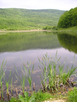 P1010058.JPG