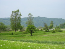 P1010059.JPG