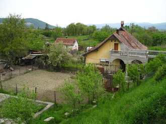 P1010061.JPG