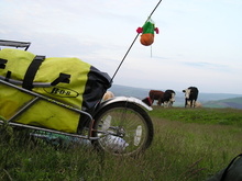 P1010071.JPG