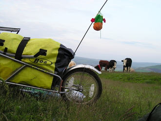 P1010071.JPG