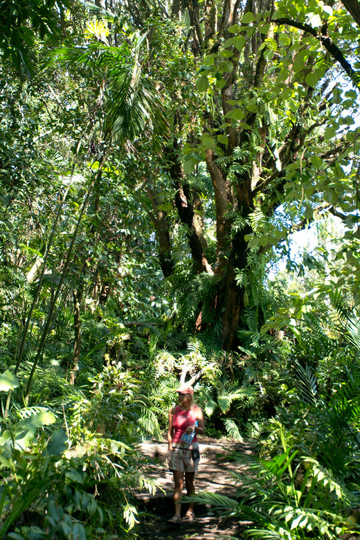 National park Cerro Verde, Salvador