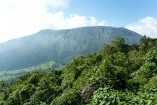 View to Volcan Santa Ana from Cerro Verde, Salvador