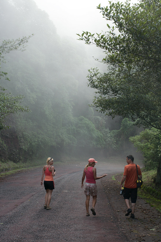 Cloudy forest on Cerro Verde, Salvador