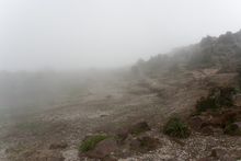 Volcan Santa Maria 3774 masl