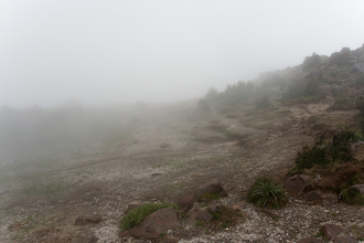 Volcan Santa Maria 3774 masl