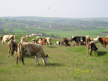 P1010083.JPG