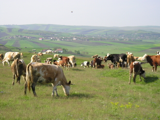 P1010083.JPG