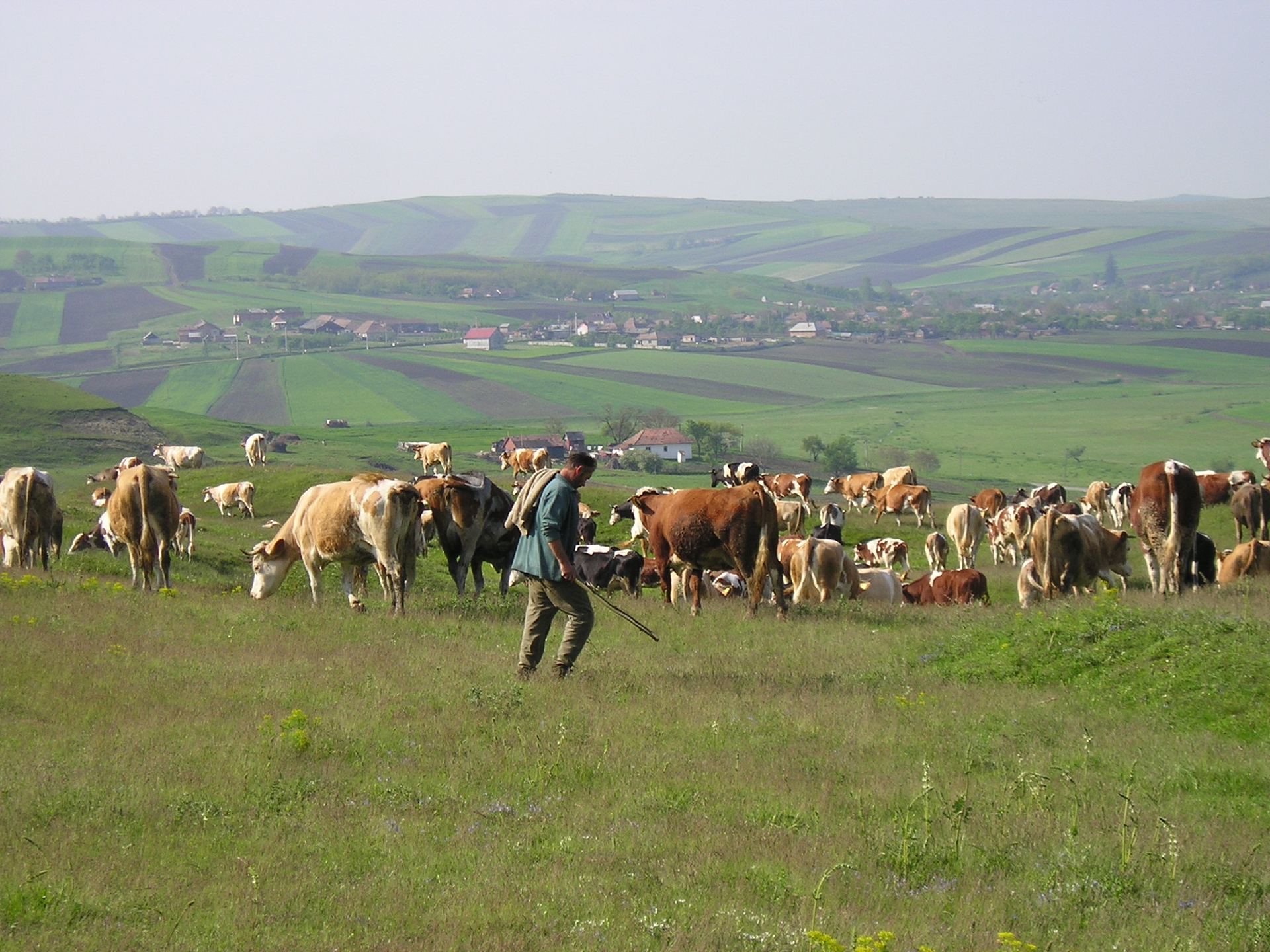 P1010084.JPG